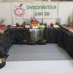 JABLKO ROKA 2022