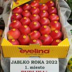 JABLKO ROKA 2022