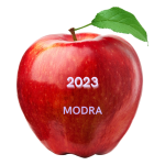 JABLKO ROKA 2023